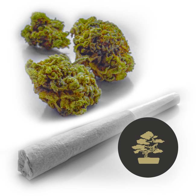 Shop and learn FAQ about fresh large weed THC-A flower and pre-rolled joints and bud delivered in the Austin Texas area by Bonsai Brothers Cannabis Delivery